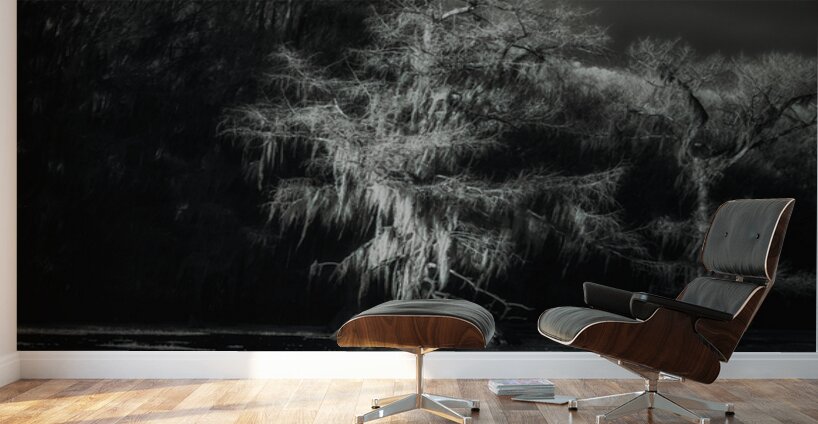 Luminous Spirits Wall Murals