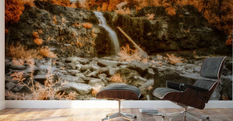 Autumn Fire and Falling Water Wall Murals