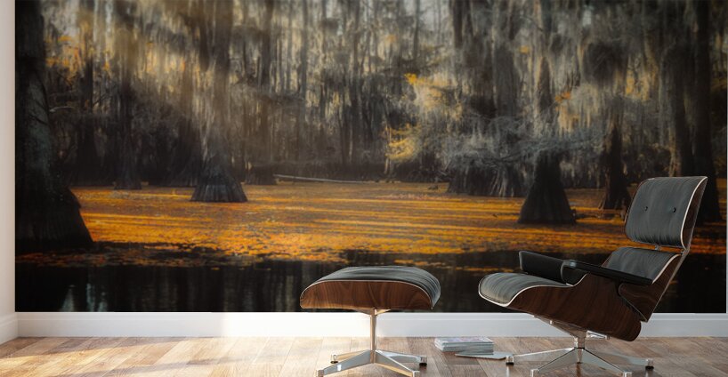 Amber Awakening Wall Murals