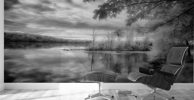 Mirror of Dreams Wall Murals