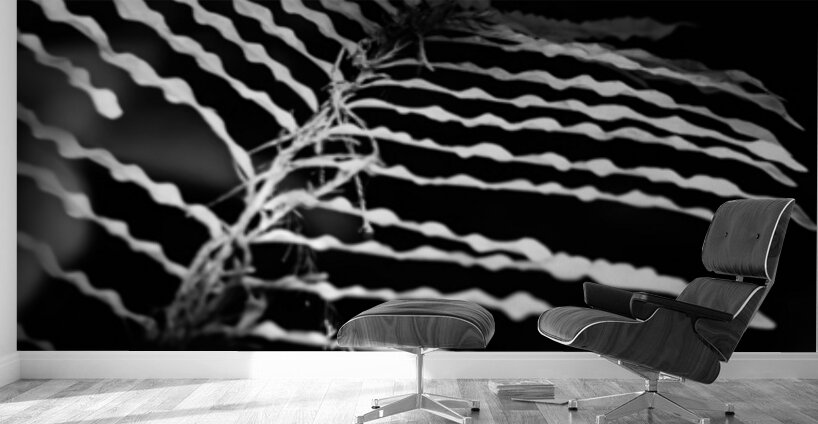 The Fern’s Quiet Frequency Wall Murals