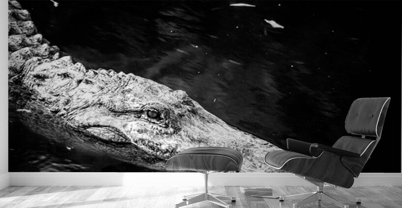 Old Eyes Dark Water Wall Murals