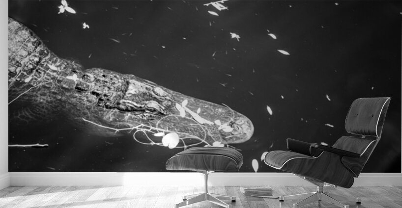 Drift Then Silence Wall Murals