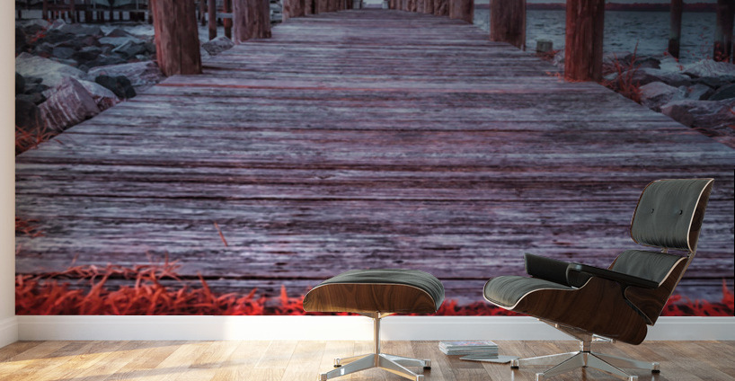 Storms Dance: A Memorable Infrared Moment on Brooms Island Maryland Wall Murals