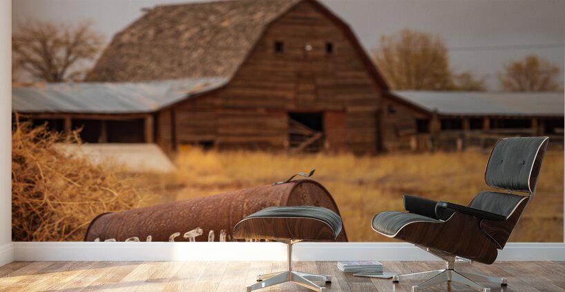 Gilded Whispers: Unveiling Fort Laramies Timeless Rural Charm Wall Murals