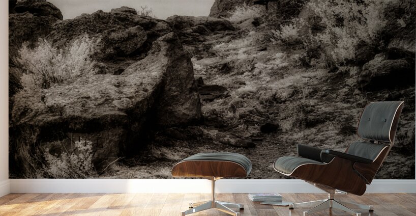 Silent Testaments of the Trail Wall Murals