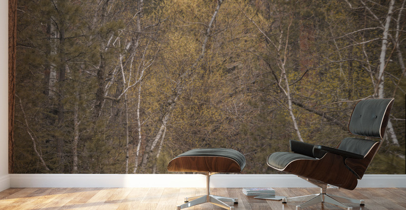 Black Hills Melody Wall Murals