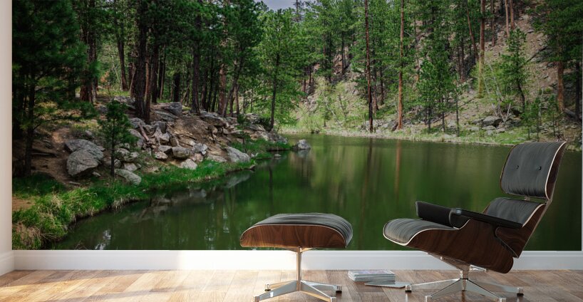 Whispers of Nature: Exploring Grace Coolidge Lakes Serenade of Silence Wall Murals