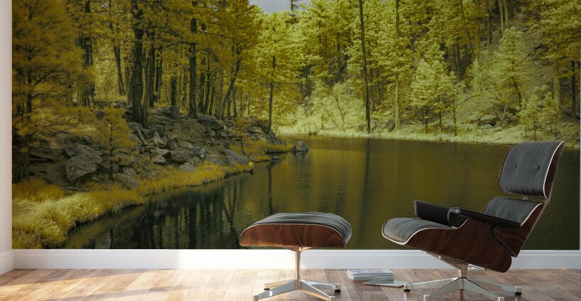 Whispers of Nature: Grace Coolidge Creeks Tranquil Reflections Wall Murals