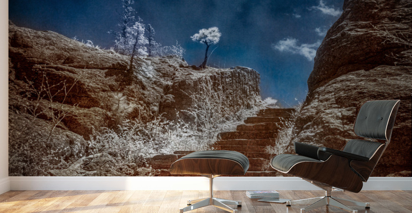 Stairway to Tranquility: Exploring Sylvan Lake South Dakota Wall Murals