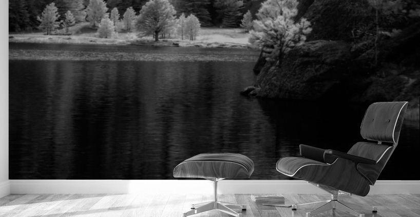 Enchanting Haze: Hazy Pines in Infrared at Sylvan Lake South Dakota Wall Murals