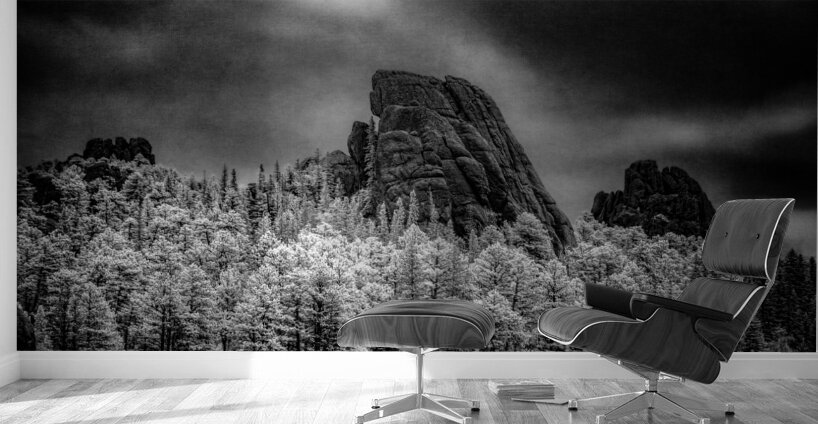 Sylvan Shadows: A Moody Encounter with Natures Drama in Custer State Park Wall Murals