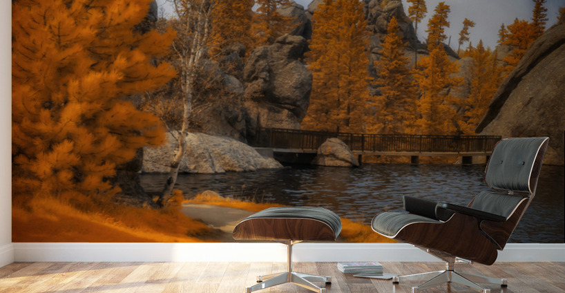  Autumnal Serenity: Sylvan Lake Path in Infrared Wall Murals