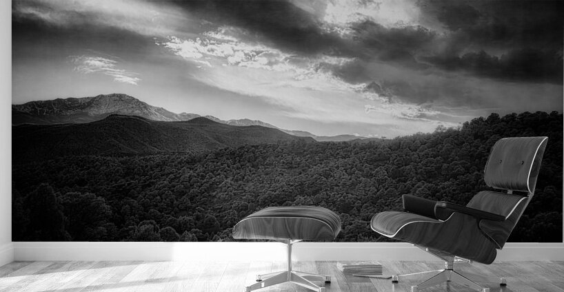 Shadows of Pikes Peak Wall Murals