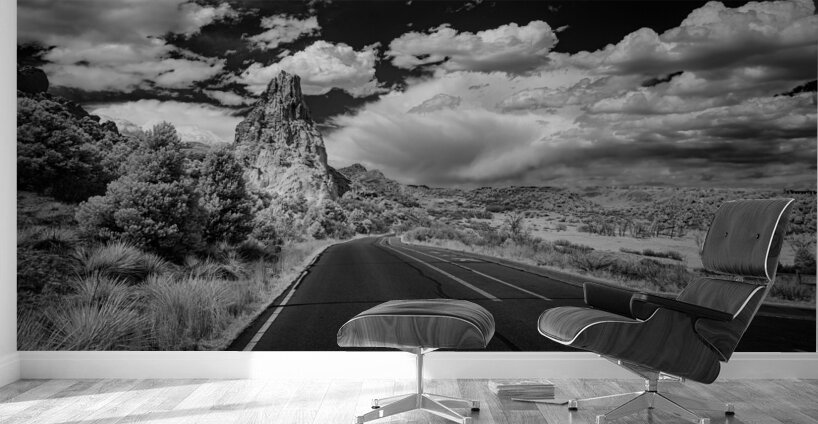 Journey to Majesty: Roadside Symphony at Garden of the Gods Wall Murals