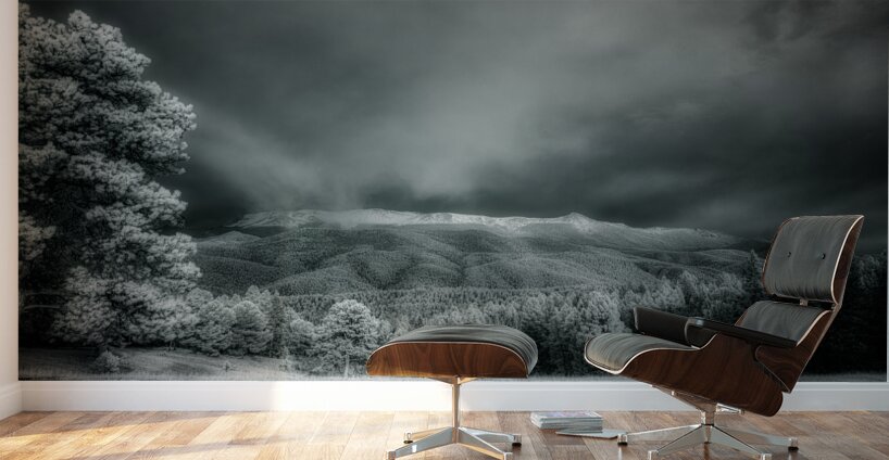 Muellers Mystique Wall Murals