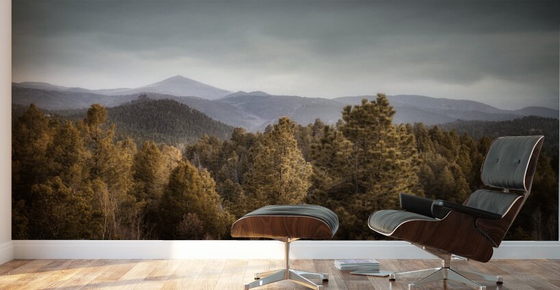 Mueller Aspen Series: Mountain View Wall Murals