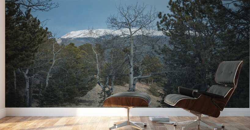 Mountain Meadow Serenity Wall Murals