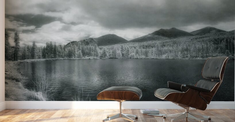 Misty Shores of Solitude: Sprague Lake Wall Murals