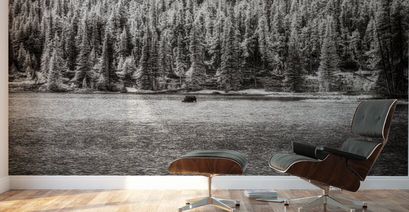 Enchanted Wilderness: Moose Haven in Rocky Mountain Park Wall Murals