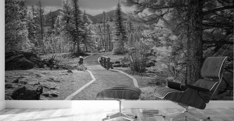 Sprague Lake Path Wall Murals