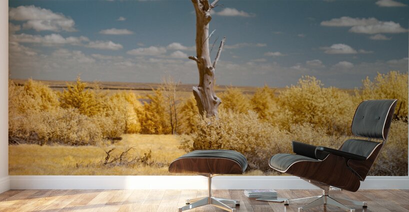 Nebraska Lone Tree - 1 Wall Murals