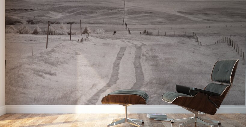 Nebraska Farm Lane -1  Wall Murals