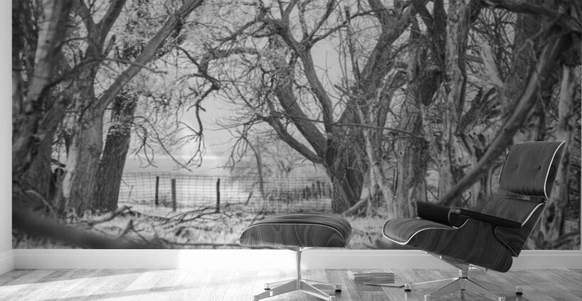 Nebraska Farm - 21 Wall Murals