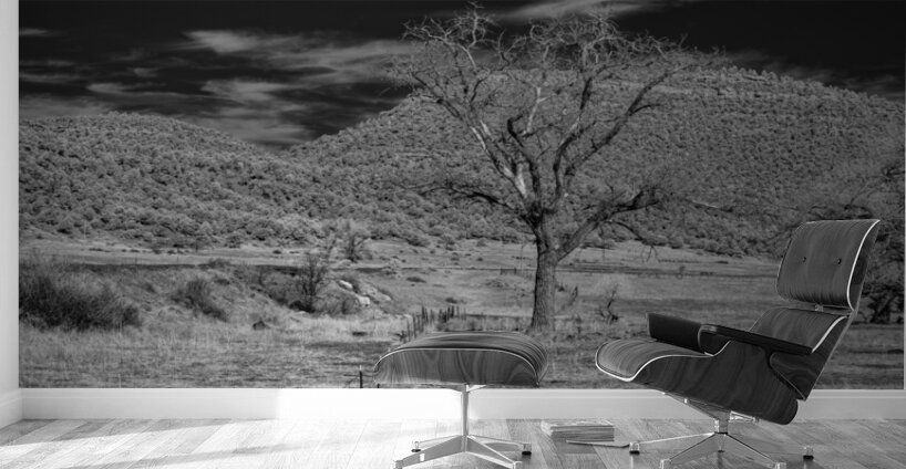 Whispers of Isolation in Monochrome Wall Murals