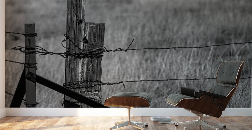 Echoes of Rural Isolation Wall Murals