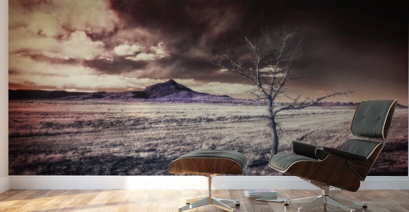 Surreal Twilight: Otherworldly Wall Murals