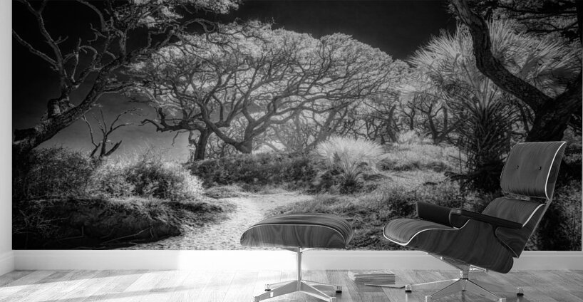 Island Path Wall Murals