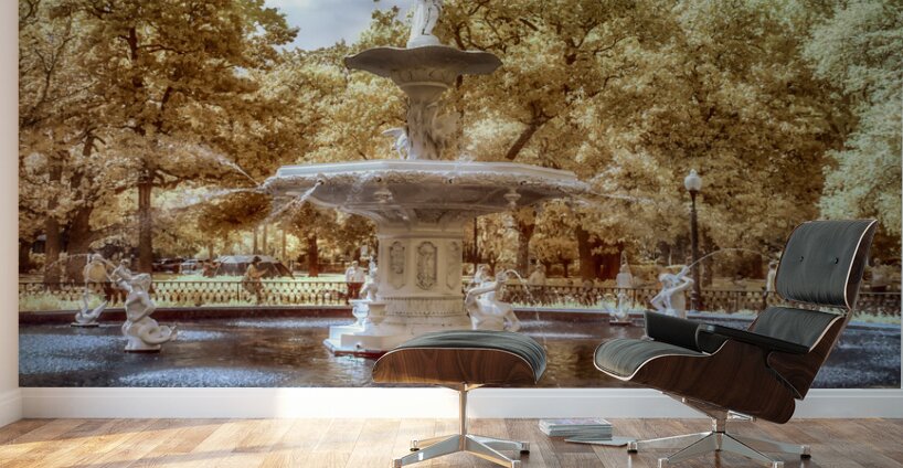 Forsyth Fountain Fantasy Wall Murals