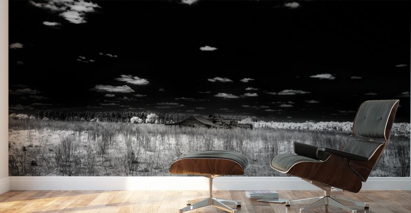 Forgotten Georgia Barn Wall Murals