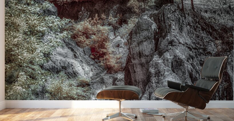 Providence Canyon Georgia Wall Murals