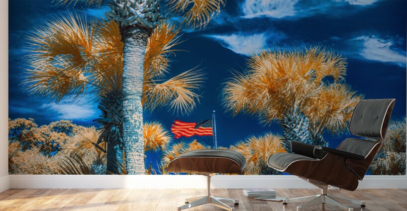 Neptune Park Oasis: A Pictorial Tale of Saint Simons Island Bliss Wall Murals