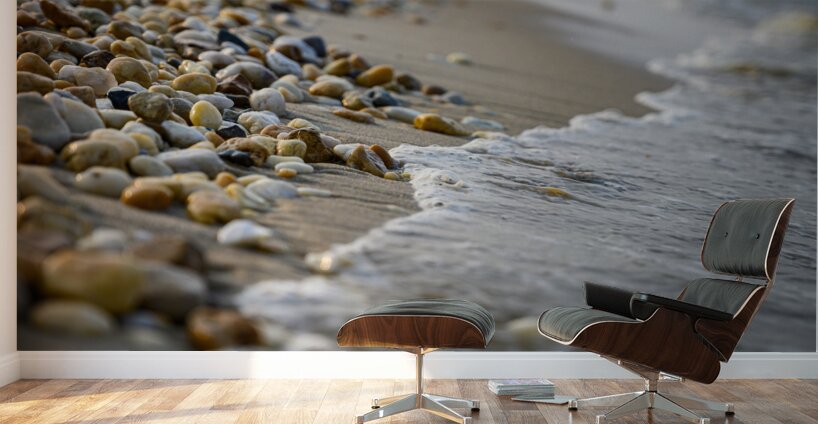 Shoreline Symphony Wall Murals