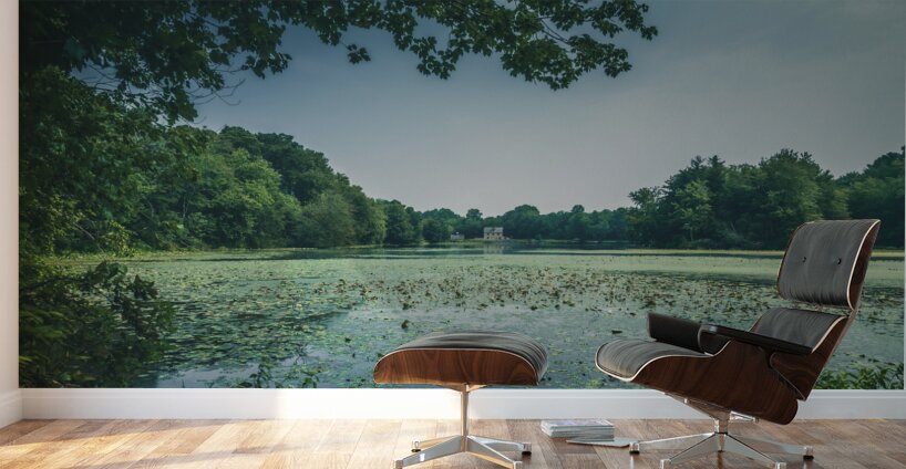 Abbotts Mill Adventure: Exploring Delawares History Wall Murals