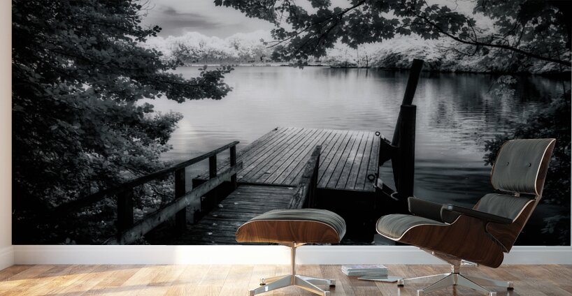 Monochrome Serenade: Abbotts Pond Delaware Wall Murals