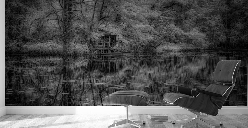 Louisiana Fishing Shack-1 Wall Murals