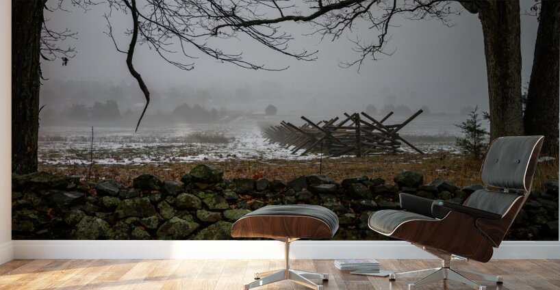 Stoney Fence Wall Murals