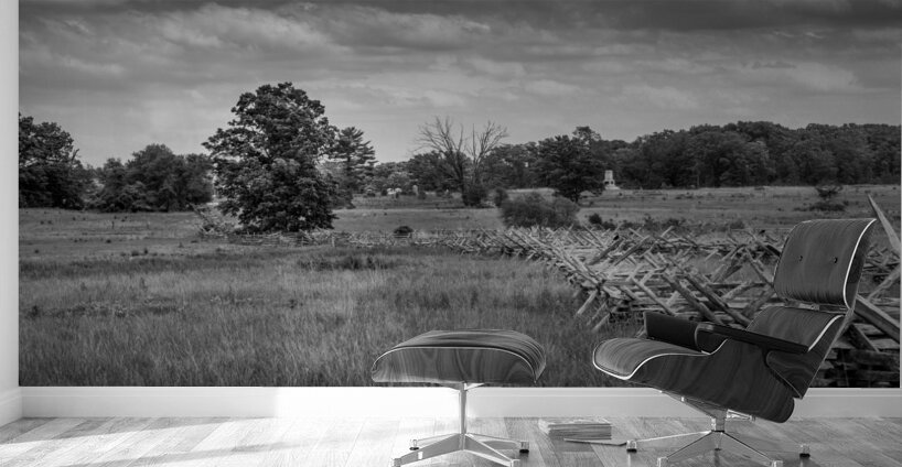 Fenceline Field Wall Murals