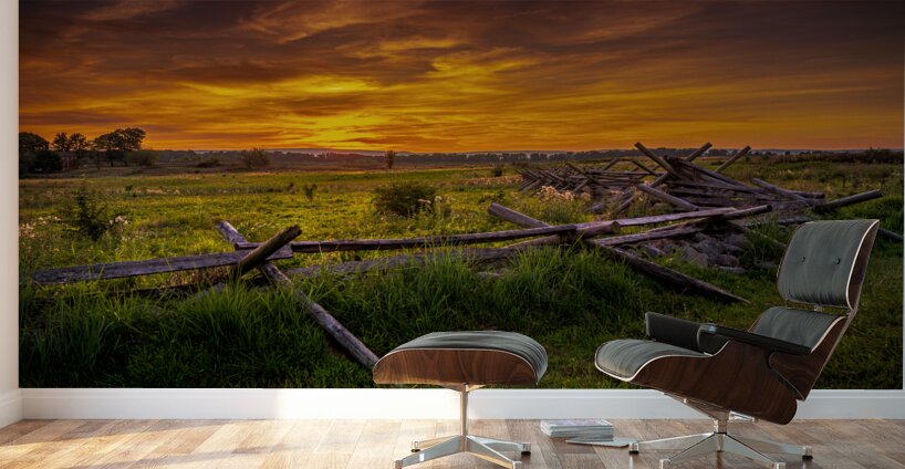 Fenceline Sunset Wall Murals