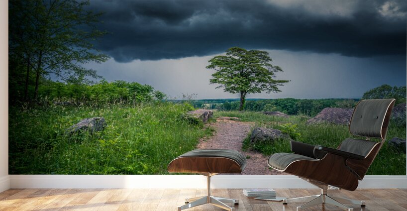 Solitude and Serenity: A Hike through Little Round Tops Enchanted Trail under the Brooding Storm Wall Murals