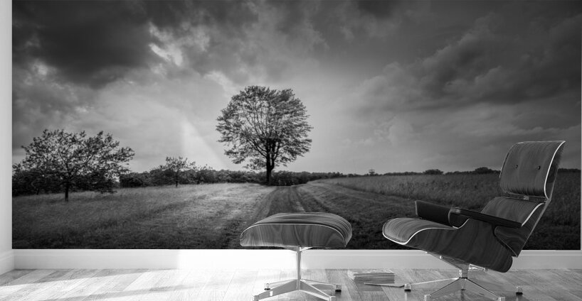 Majestic Solitude: An Evening Ride Through History Wall Murals