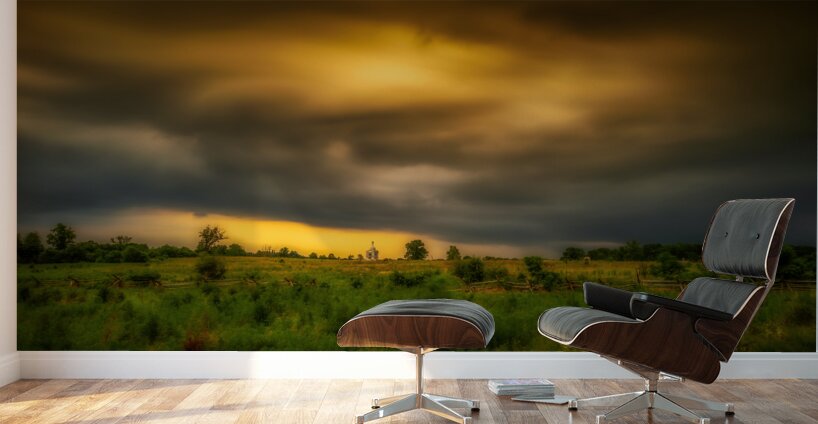 Solitude in the Storm Wall Murals