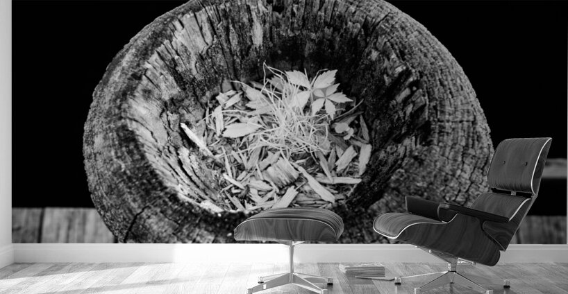 Echoes Within Wood Wall Murals