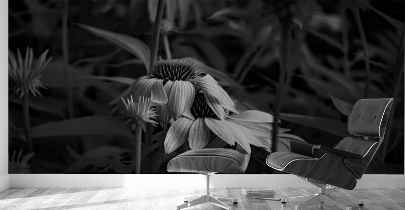 Loris Flowers - 3 Wall Murals