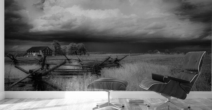 Infrared Field  Wall Murals