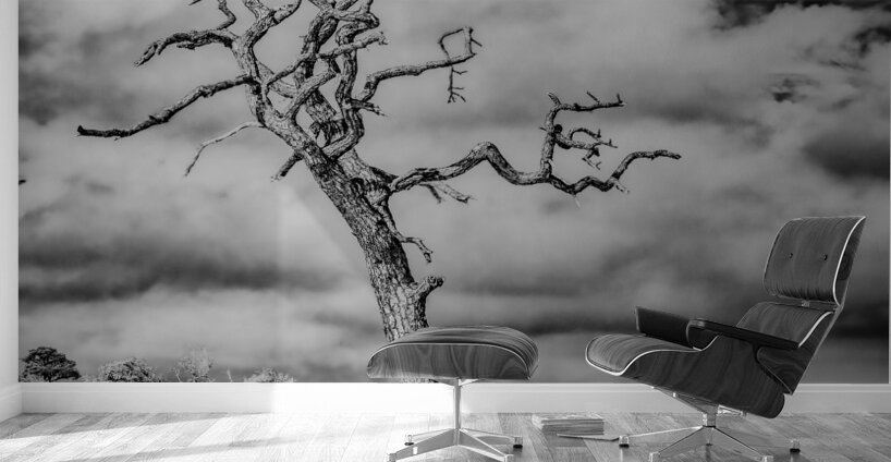 Alone and Lost Wall Murals